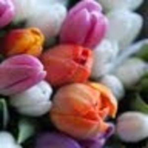 Meet your Posher, Mary Ann